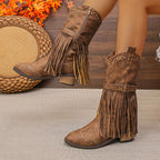 Bottes Femme Similicuir, Franges et Clous, vue 5